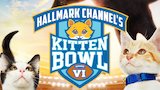 Kitten Bowl VII