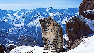 Planet Earth II Season 1 Episode 2 Planet Earth II Season 1 Episode 2