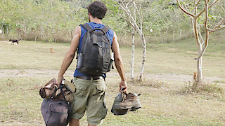 Jungletown Season 1 Episode 10 Jungletown Season 1 Episode 10