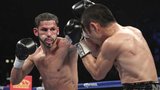 Showtime Boxing International: Linares vs. Crolla II
