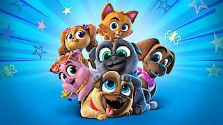 Puppy Dog Pals - New Year, New Bob / All for Show