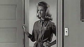 The Donna Reed Show Season 5 Episode 30 The Donna Reed Show Season 5 Episode 30