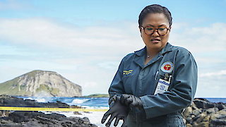 Hawaii Five-0 - Ke Iho Mai Nei Ko Luna (Those Above Are Descending)