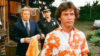 Hawaii Five-0 - He kohu puahiohio i ka ho‘olele i ka lepo i luna