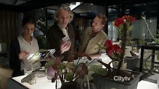 Terra Nova Season 1 Episode 7 Terra Nova Season 1 Episode 7