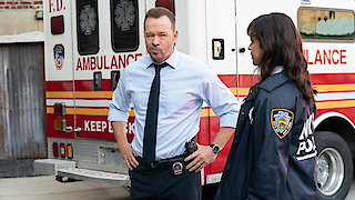 Blue Bloods - Stirring The Pot