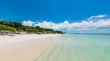 A Beach of Their Own
