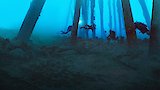 Mexico's Artificial Reefs