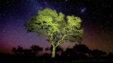 Earth Live