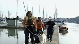 The Murder of Laci Peterson Season 1 Episode 5 The Murder of Laci Peterson Season 1 Episode 5