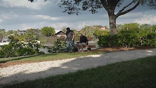 The Disappearance of Natalee Holloway Season 1 Episode 4 The Disappearance of Natalee Holloway Season 1 Episode 4
