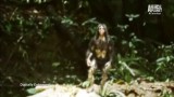 1. The Cannibal in the Jungle
