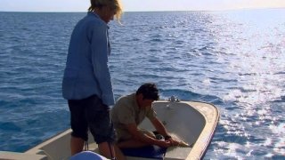Man, Woman, Wild Season 2 Episode 1 Man, Woman, Wild Season 2 Episode 1