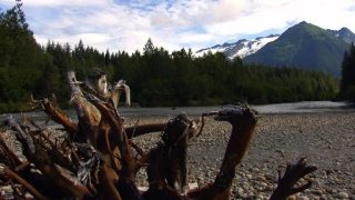 Man, Woman, Wild Season 2 Episode 9 Man, Woman, Wild Season 2 Episode 9