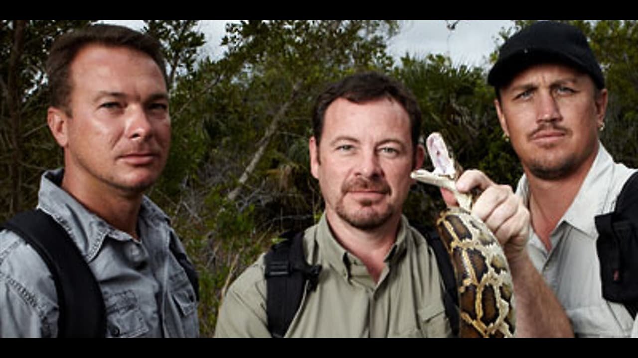 Python Hunters