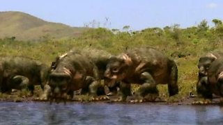 Walking with Dinosaurs Season 1 Episode 1 Walking with Dinosaurs Season 1 Episode 1