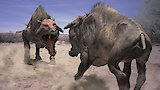 Mammoth Journey