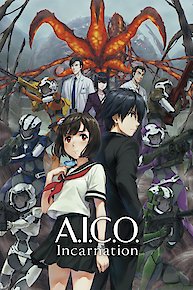 A.I.C.O. Incarnation