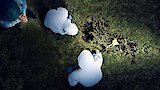 Secrets in the Snow