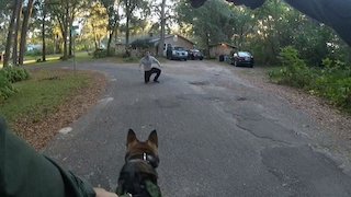 Live PD Presents: PD Cam Season 3 Episode 11 Live PD Presents: PD Cam Season 3 Episode 11