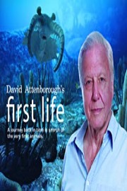 Watch David Attenborough S First Life Streaming Online Yidio