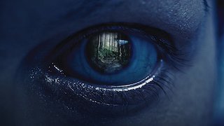 These Woods Are Haunted - It Was Just Like a Nightmare and We're Not Gonna Make It Out