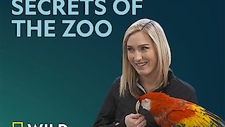 Secrets of the Zoo Season 1 Episode 5 Secrets of the Zoo Season 1 Episode 5
