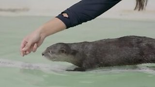 Secrets of the Zoo Season 2 Episode 8 Secrets of the Zoo Season 2 Episode 8