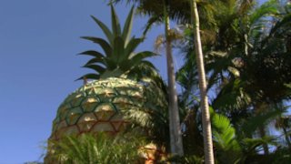 Discovery Atlas Season 1 Episode 4 Discovery Atlas Season 1 Episode 4