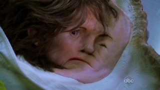 Pushing Daisies Season 2 Episode 9 Pushing Daisies Season 2 Episode 9