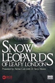 Snow Leopards Of Leafy London