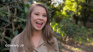 Crikey! It\'s the Irwins Season 1 Episode 2 Crikey! It\'s the Irwins Season 1 Episode 2