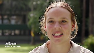 Crikey! It\'s the Irwins Season 2 Episode 1 Crikey! It\'s the Irwins Season 2 Episode 1