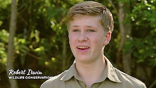 Crikey! It\'s the Irwins Season 2 Episode 12 Crikey! It\'s the Irwins Season 2 Episode 12