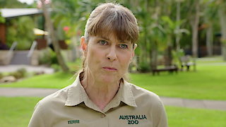Crikey! It\'s the Irwins Season 2 Episode 14 Crikey! It\'s the Irwins Season 2 Episode 14