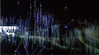 Life in the Undergrowth Season 1 Episode 3 Life in the Undergrowth Season 1 Episode 3