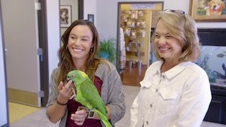 Hanging With the Hendersons Season 2 Episode 6 Hanging With the Hendersons Season 2 Episode 6