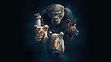 Planet Earth: Dynasties II - Making Of