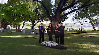 El Fantasma de Elena Season 1 Episode 117 El Fantasma de Elena Season 1 Episode 117