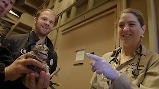 The Zoo: San Diego Season 1 Episode 3 The Zoo: San Diego Season 1 Episode 3