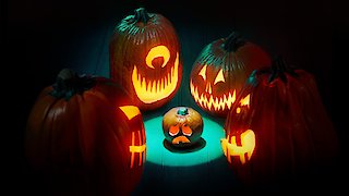 Outrageous Pumpkins - Welcome to the Pumpkin Patch