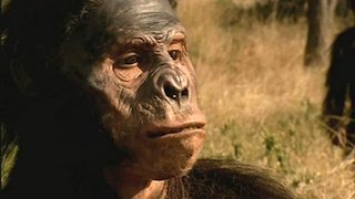 Walking with Cavemen Season 1 Episode 1 Walking with Cavemen Season 1 Episode 1