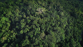 Ultimate Survival WWII Season 1 Episode 1 Ultimate Survival WWII Season 1 Episode 1