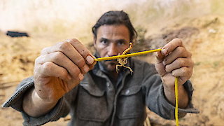 Ultimate Survival WWII Season 1 Episode 3 Ultimate Survival WWII Season 1 Episode 3