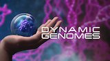 The DNA Switch