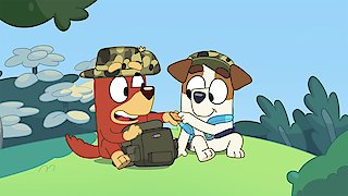 Bluey Season 2 Episode 16 Bluey Season 2 Episode 16