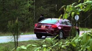 Lizard Lick Towing Season 6 Episode 9 Lizard Lick Towing Season 6 Episode 9
