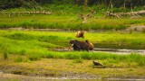 Fortress of the Bears