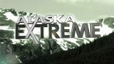 Alaskan Wildlife