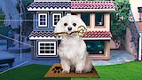 Teyana Taylor: Doggy Duplex